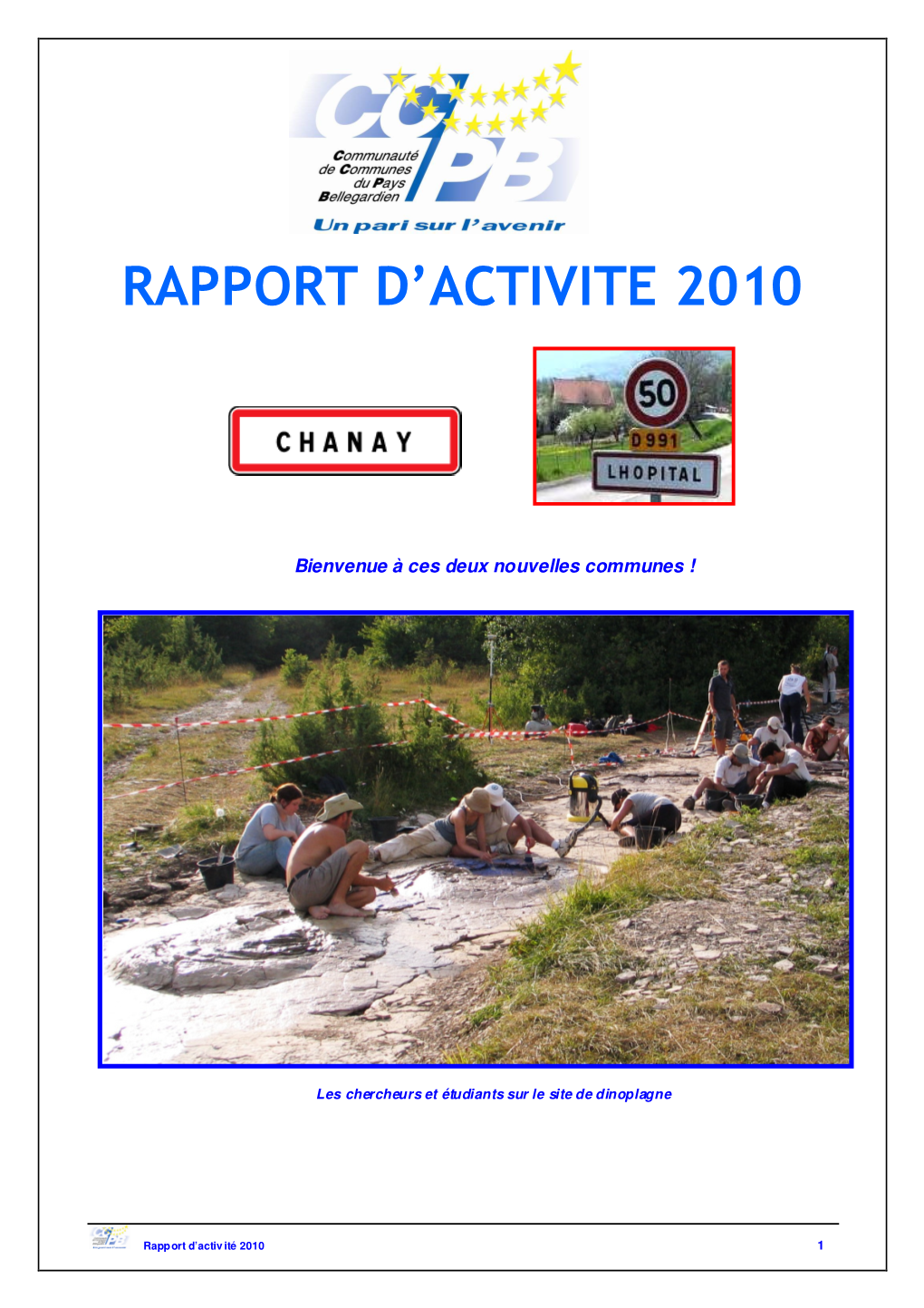 Rapport D'activite 2010