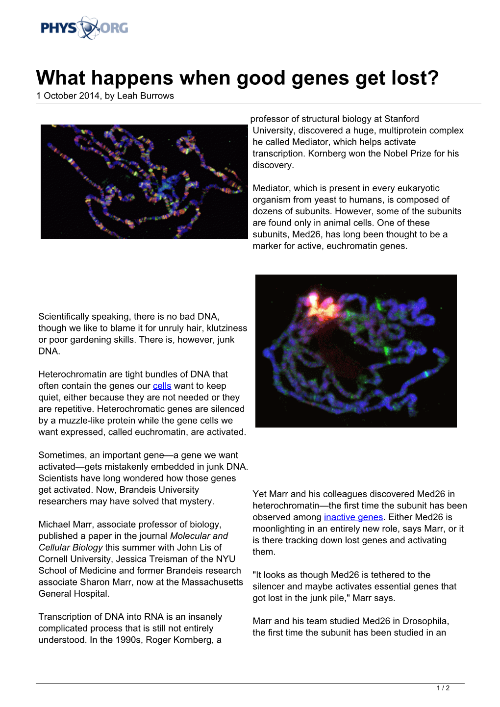 What Happens When Good Genes Get Lost? 1 October 2014, by Leah Burrows