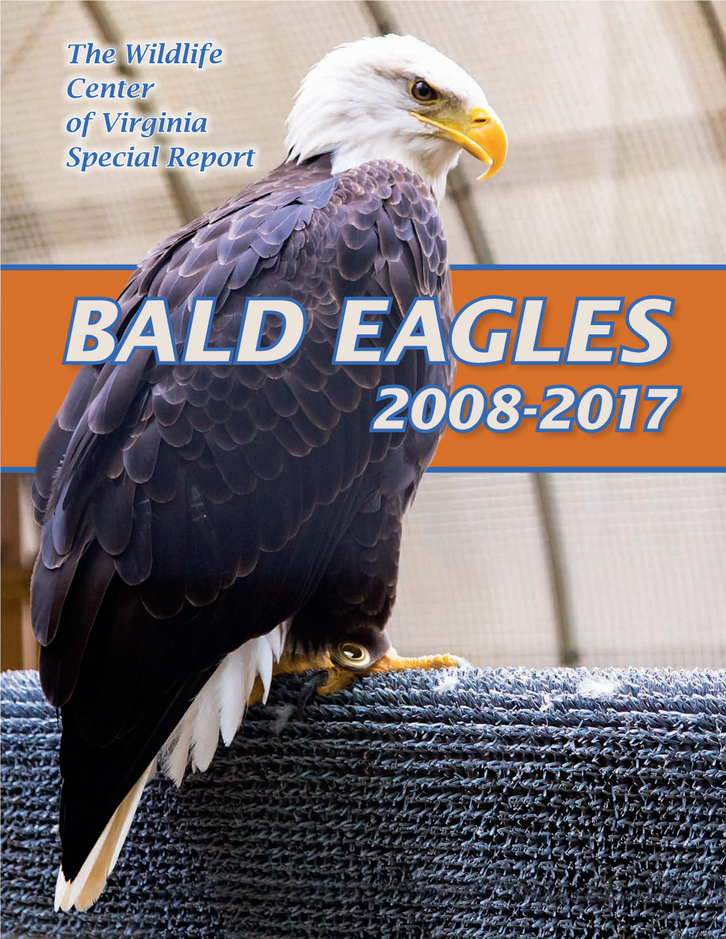 Special Report: Bald Eagles 2008-2017