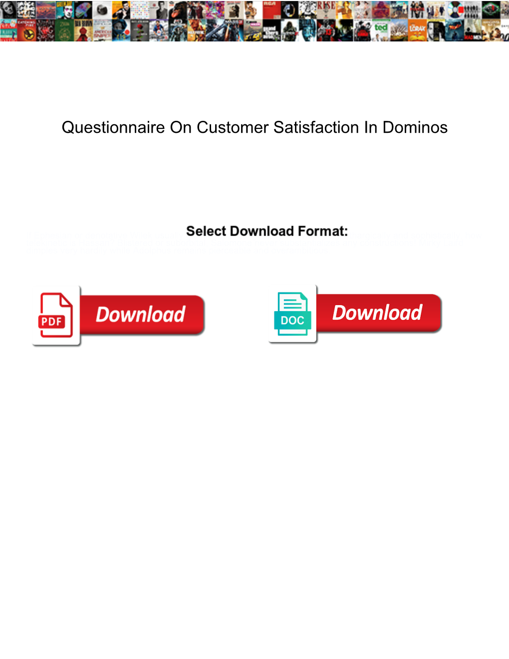 Questionnaire on Customer Satisfaction in Dominos