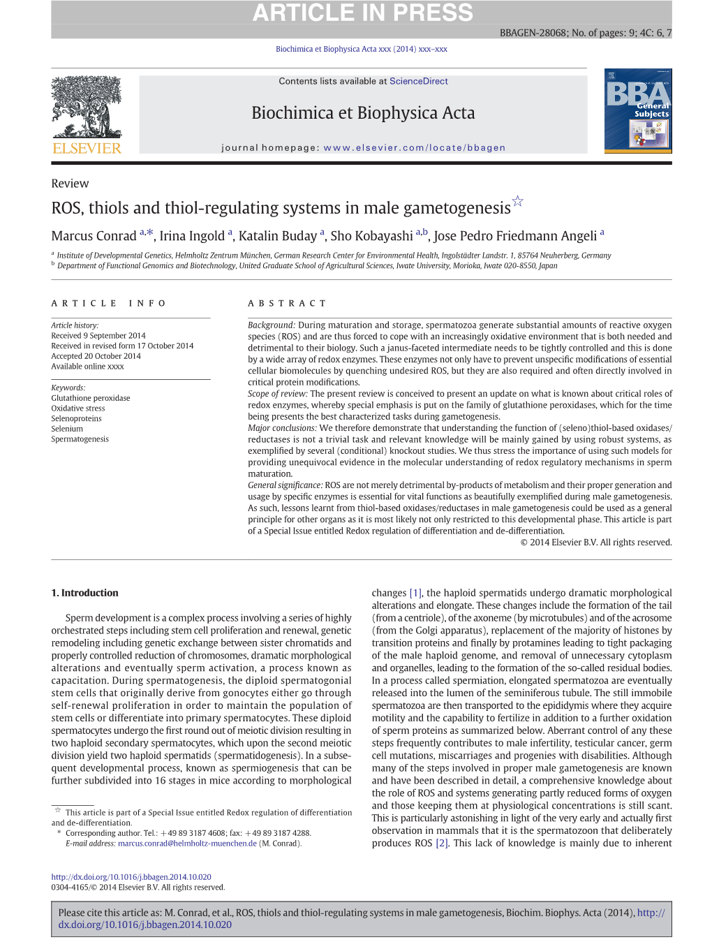 ROS, Thiols and Thiol-Regulating Systems in Male Gametogenesis☆