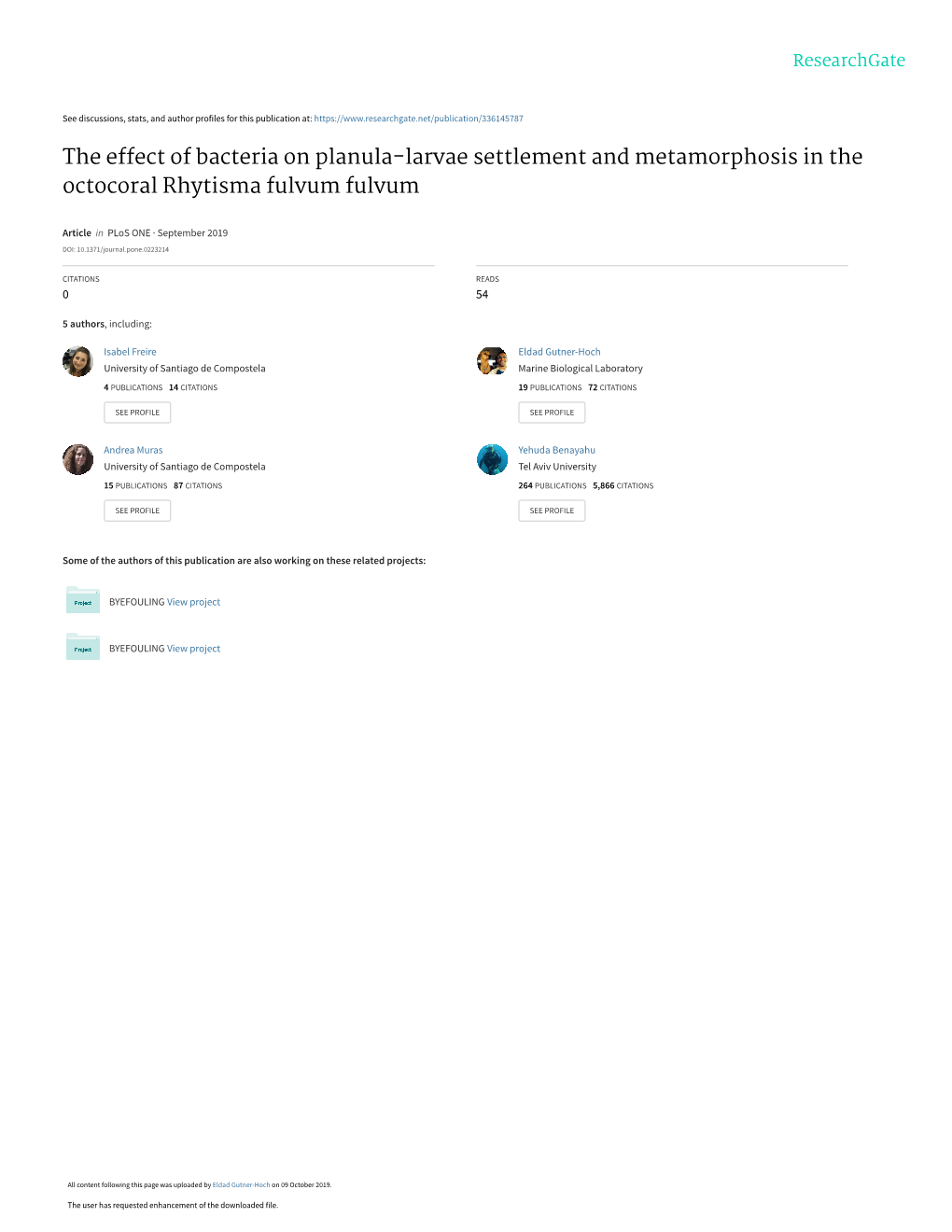 The Effect of Bacteria on Planula-Larvae Settlement and Metamorphosis in the Octocoral Rhytisma Fulvum Fulvum