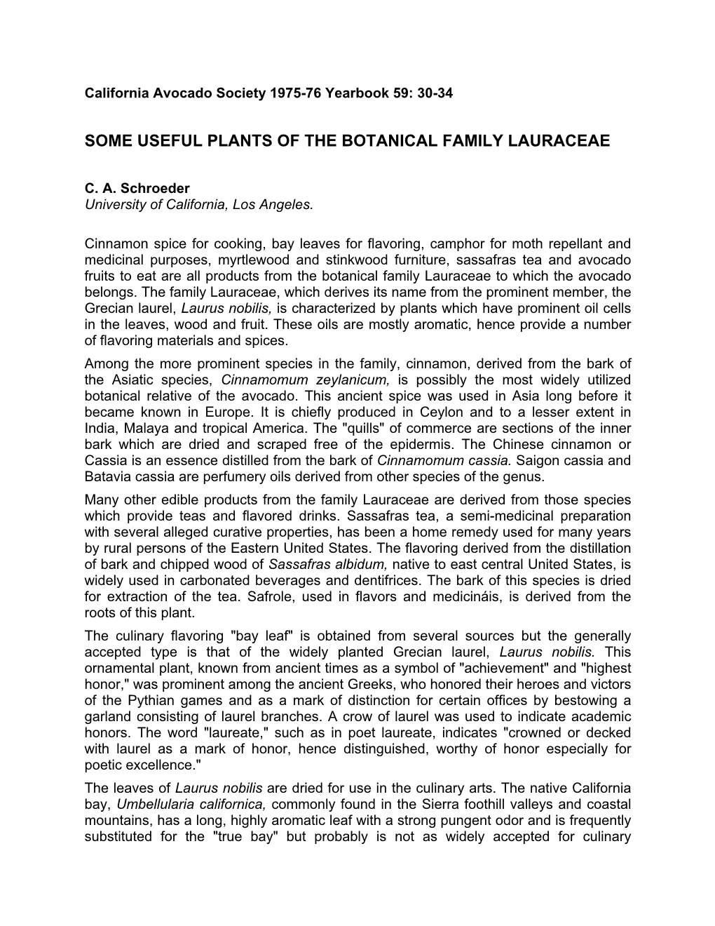 Some Useful Plants of the Botanical Family Lauraceae