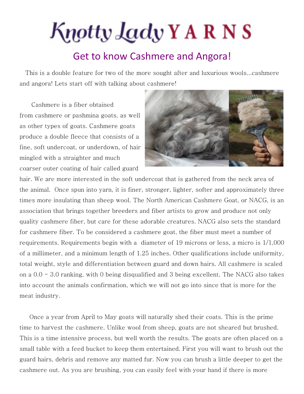 Get to Know Cashmere and Angora!