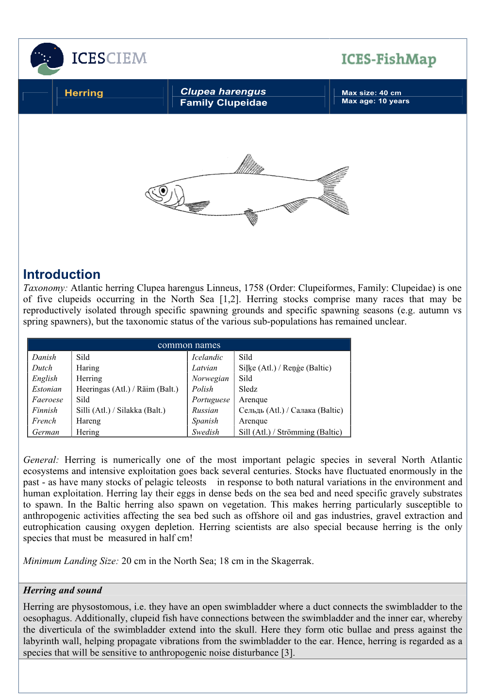 ICES Fishmap Species Factsheet-Herring