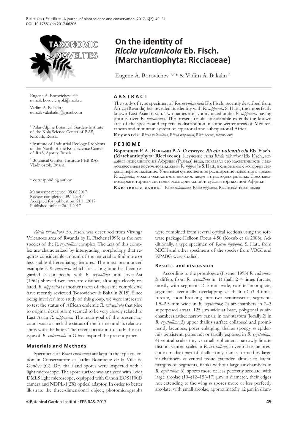 On the Identity of Riccia Vulcanicola Eb. Fisch. (Marchantiophyta: Ricciaceae)