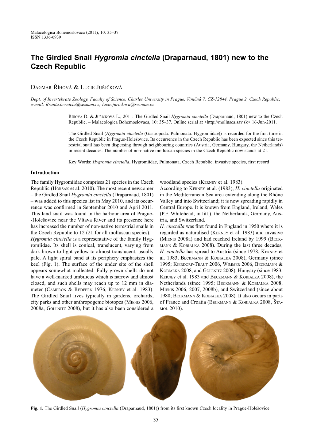 The Girdled Snail Hygromia Cinctella (Draparnaud, 1801) New to the Czech Republic