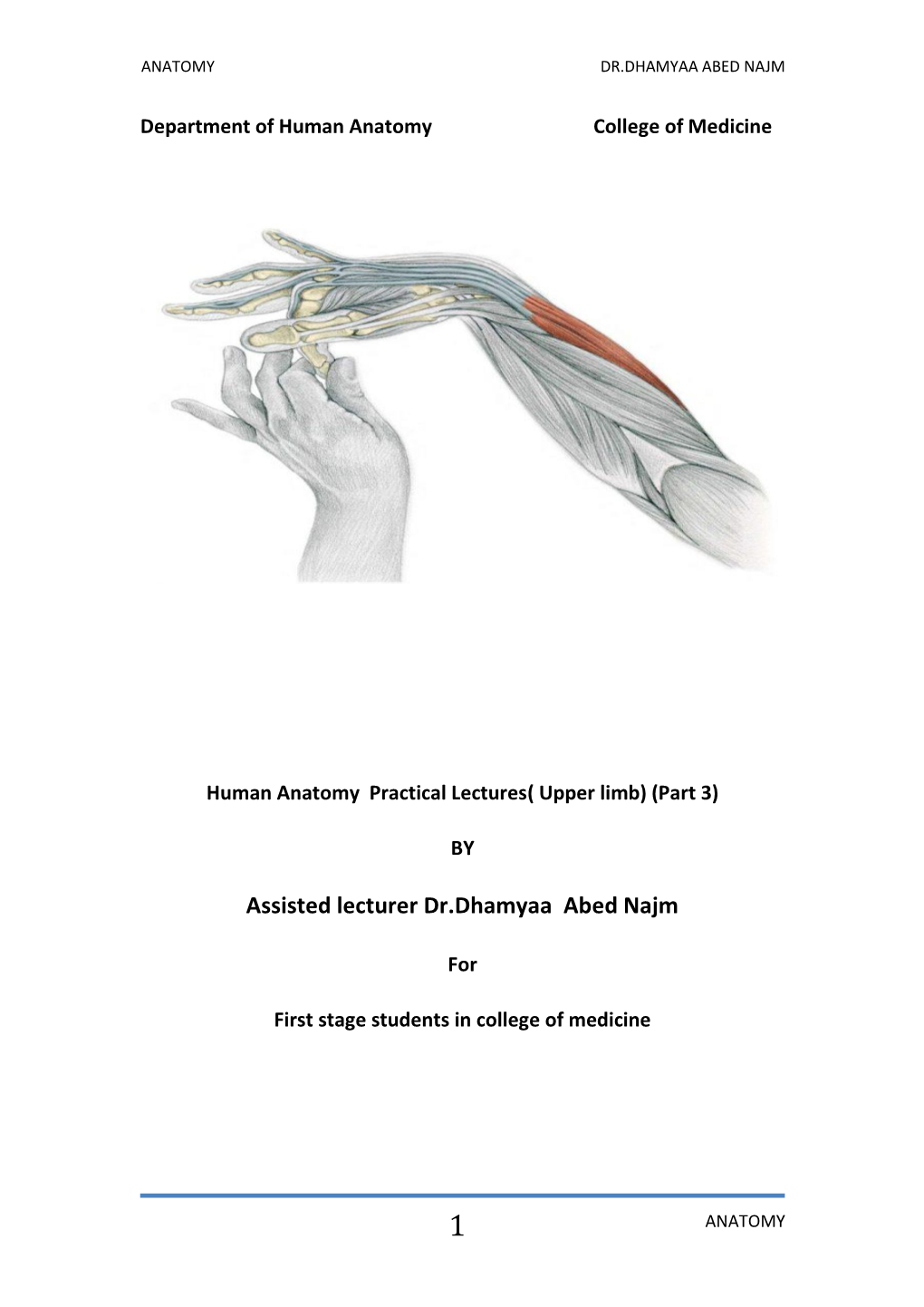 Ulnar Artery