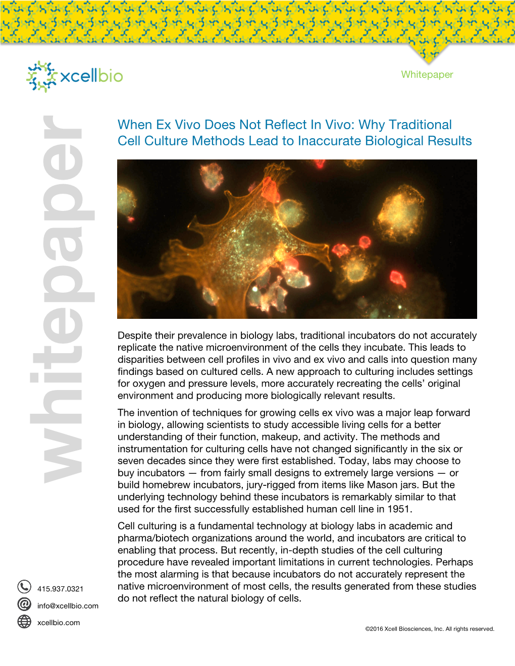 When Ex Vivo Does Not Reflect in Vivo: Why Traditional Cell Culture Methods Lead to Inaccurate Biological Results