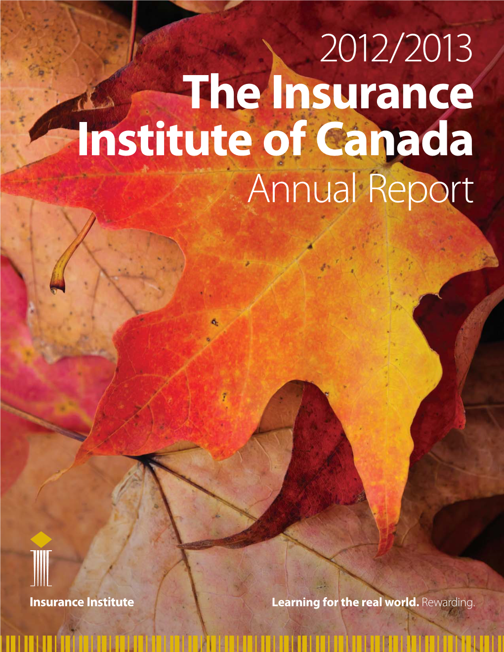 Financial Statements the Insurance Institute of Canada/ L’Institut D’Assurance Du Canada