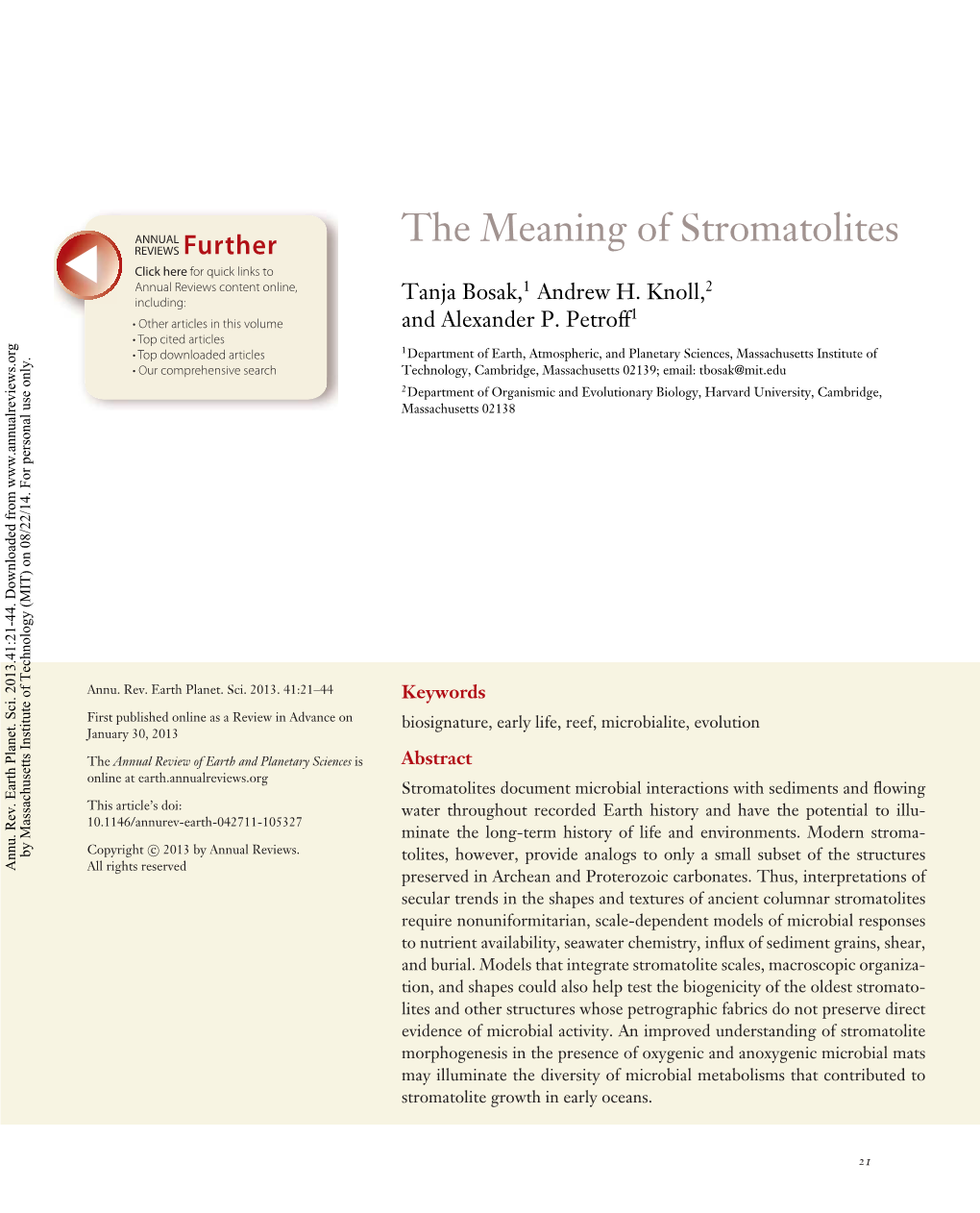 The Meaning of Stromatolites