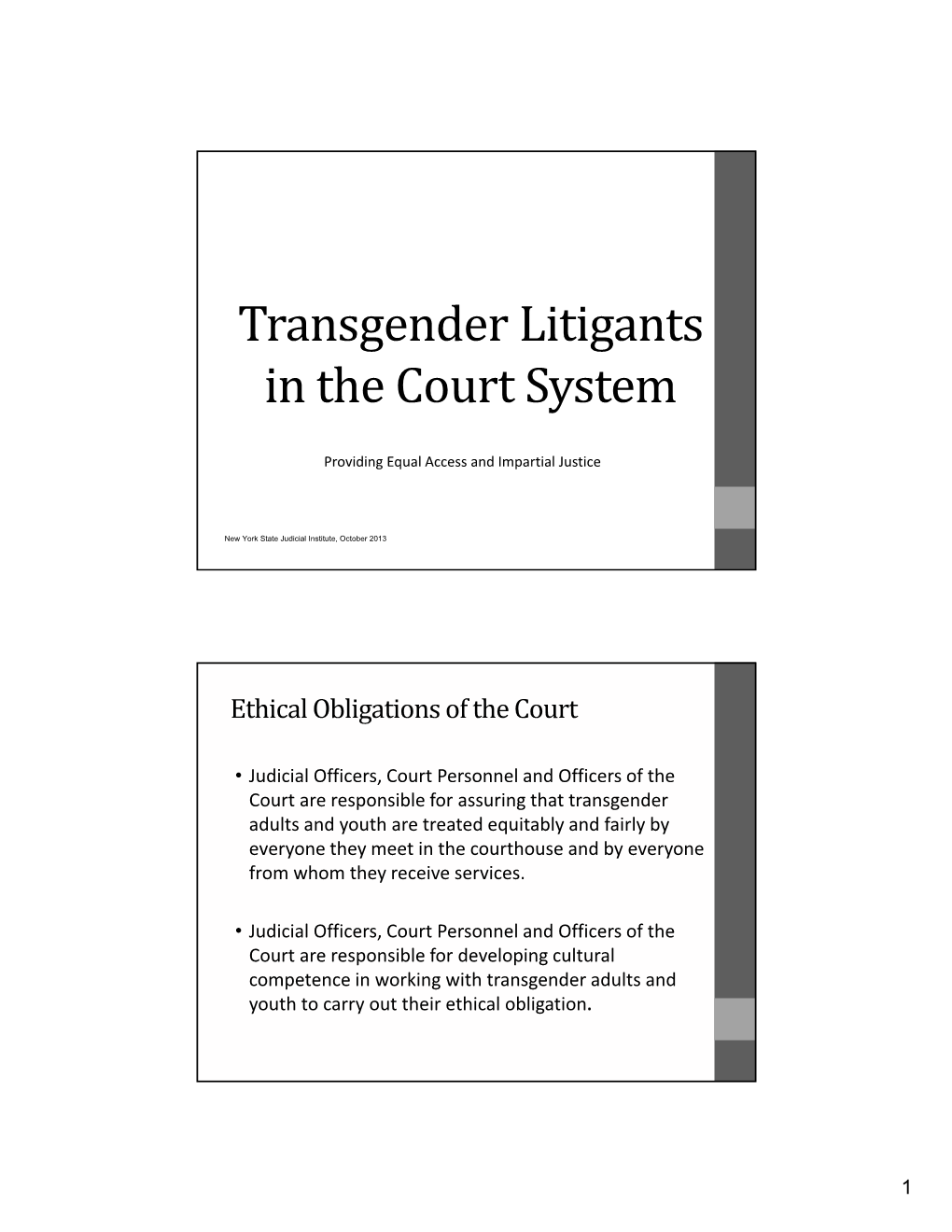 Transgender Litigants in the Court System