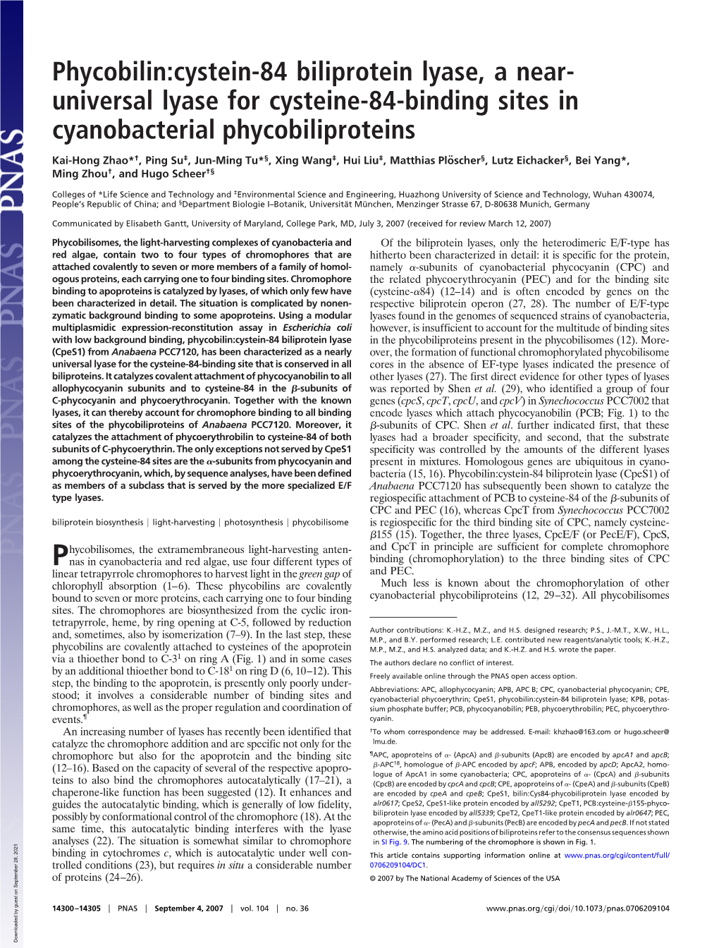 Phycobilin:Cystein-84 Biliprotein Lyase, a Near- Universal Lyase for Cysteine-84-Binding Sites in Cyanobacterial Phycobiliproteins