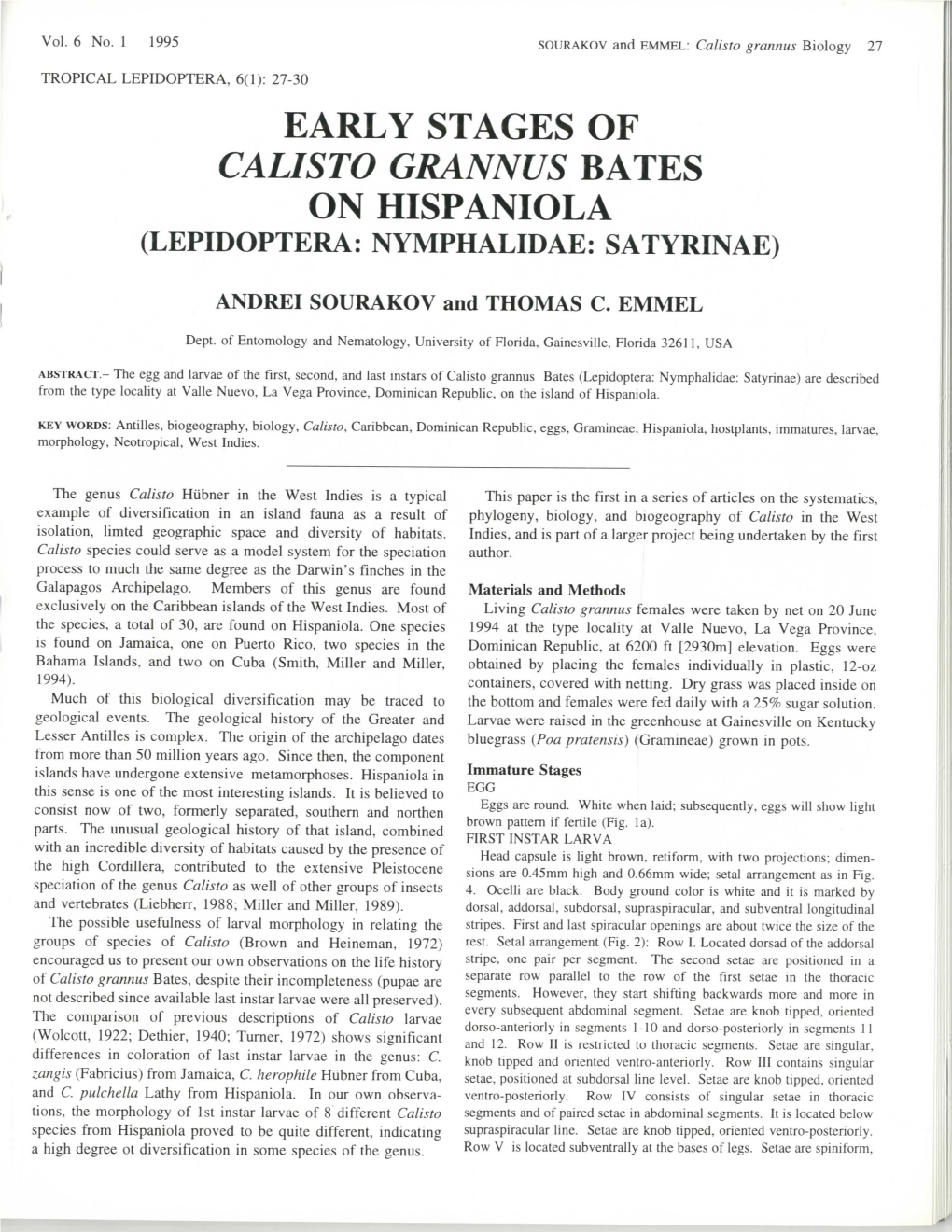 Early Stages of Calisto Grannus Bates on Hispaniola (Lepidoptera: Nymphalidae: Satyrinae)