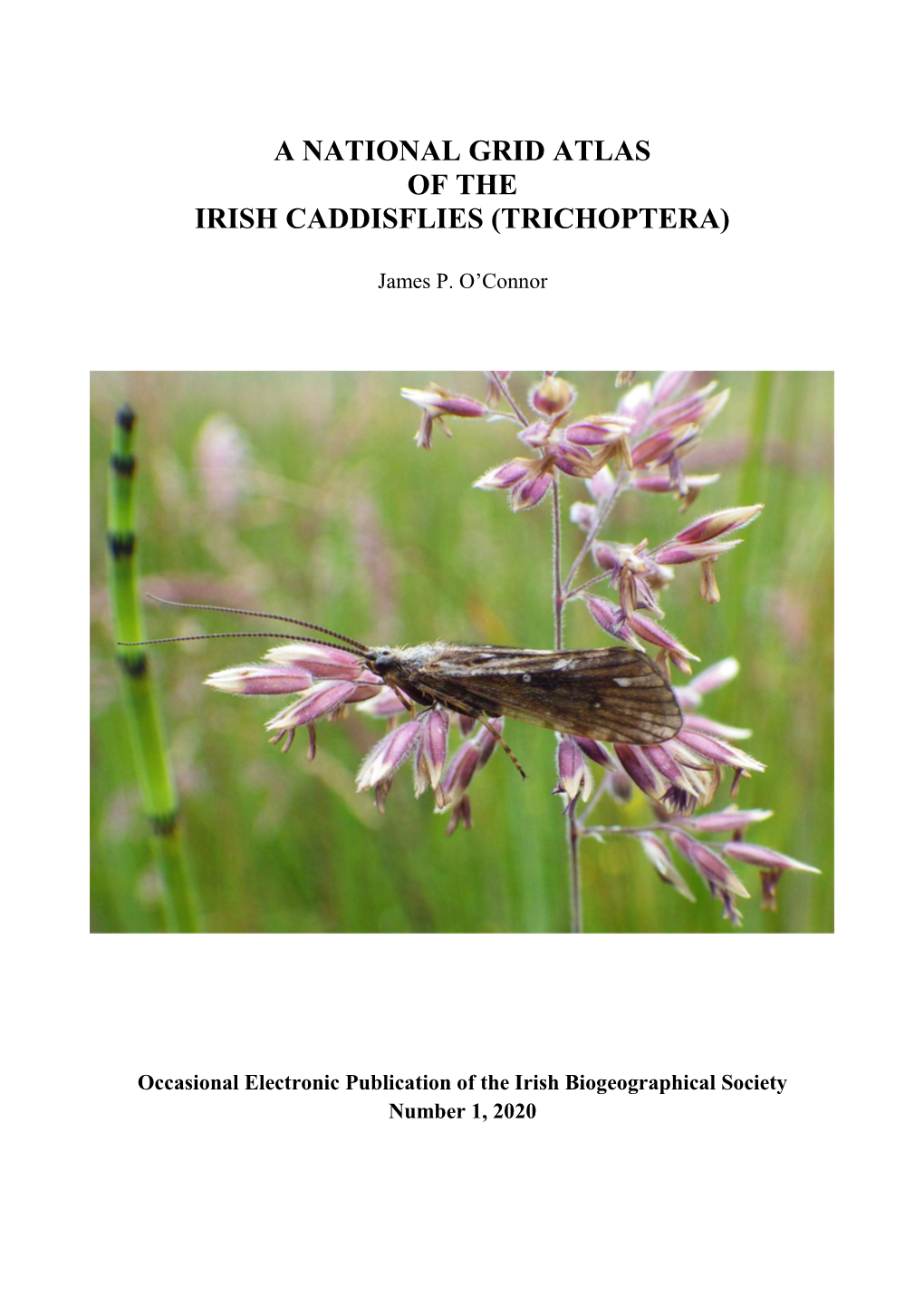 A National Grid Atlas of the Irish Caddisflies (Trichoptera)