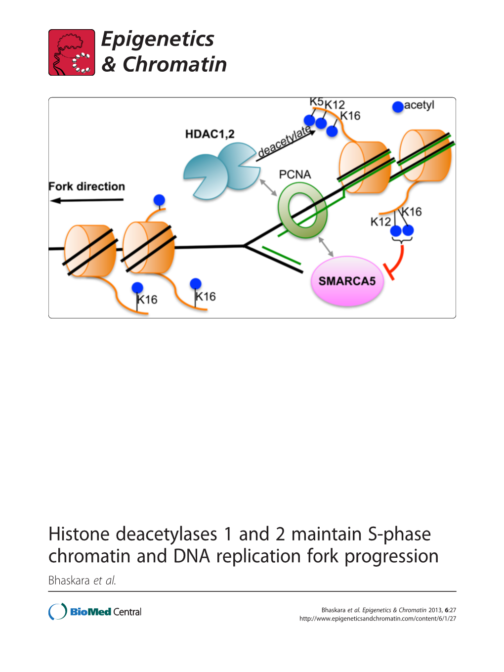 Histone Deacetylases 1 and 2 Maintain S-Phase Chromatin and DNA Replication Fork Progression Bhaskara Et Al