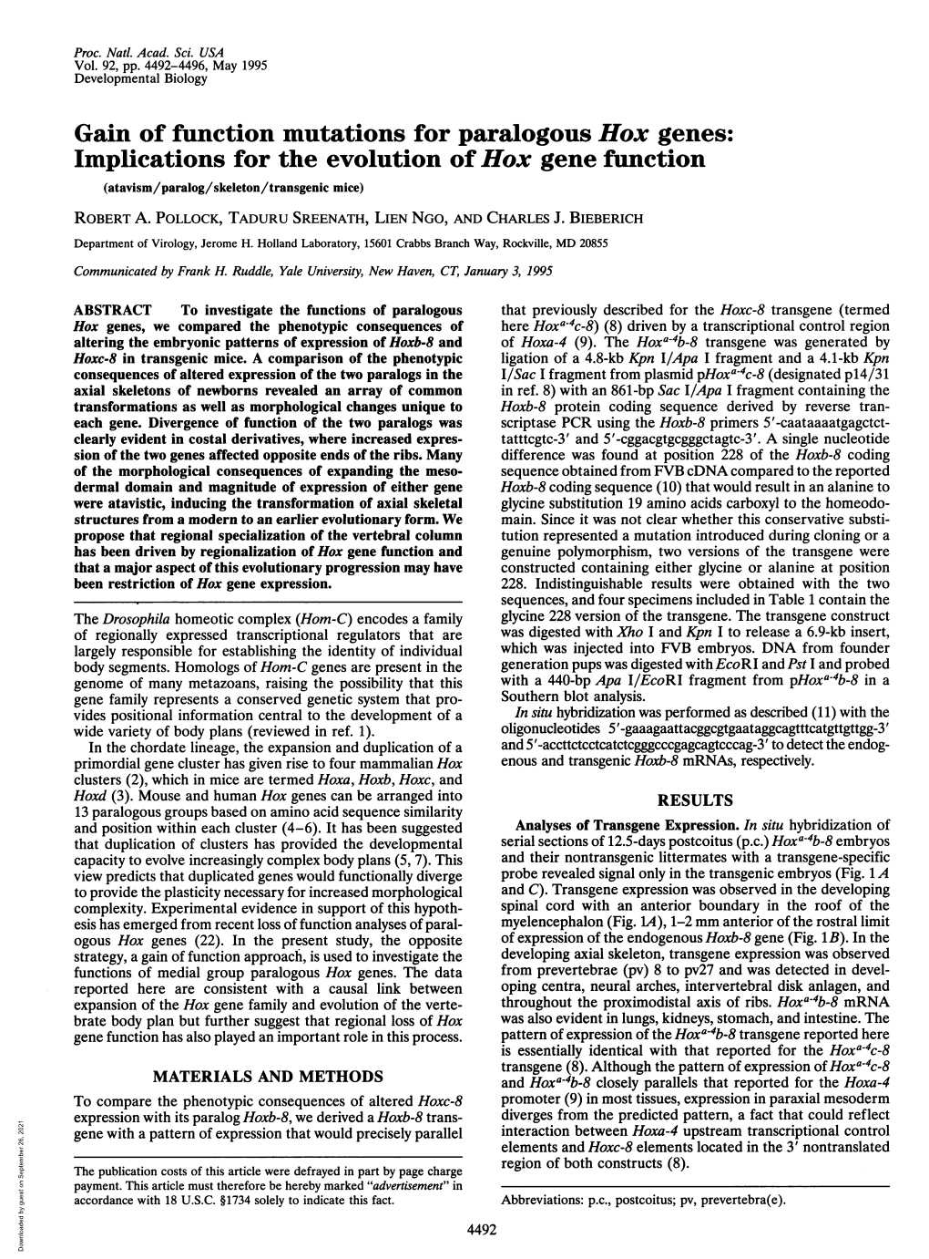 Gain of Function Mutations for Paralogous Hox Genes: Implications for the Evolution of Hox Gene Function (Atavism/Paralog/Skeleton/Transgenic Mice) ROBERT A