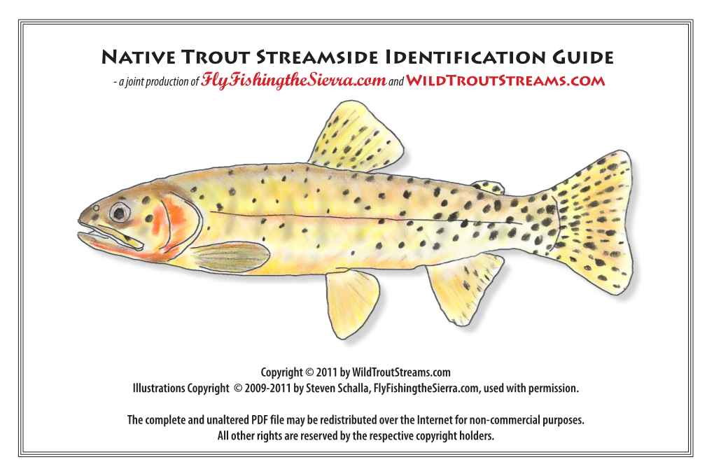 Native Trout Streamside Identification Guide - a Joint Production of Flyfishingthesierra.Com and Wildtroutstreams.Com