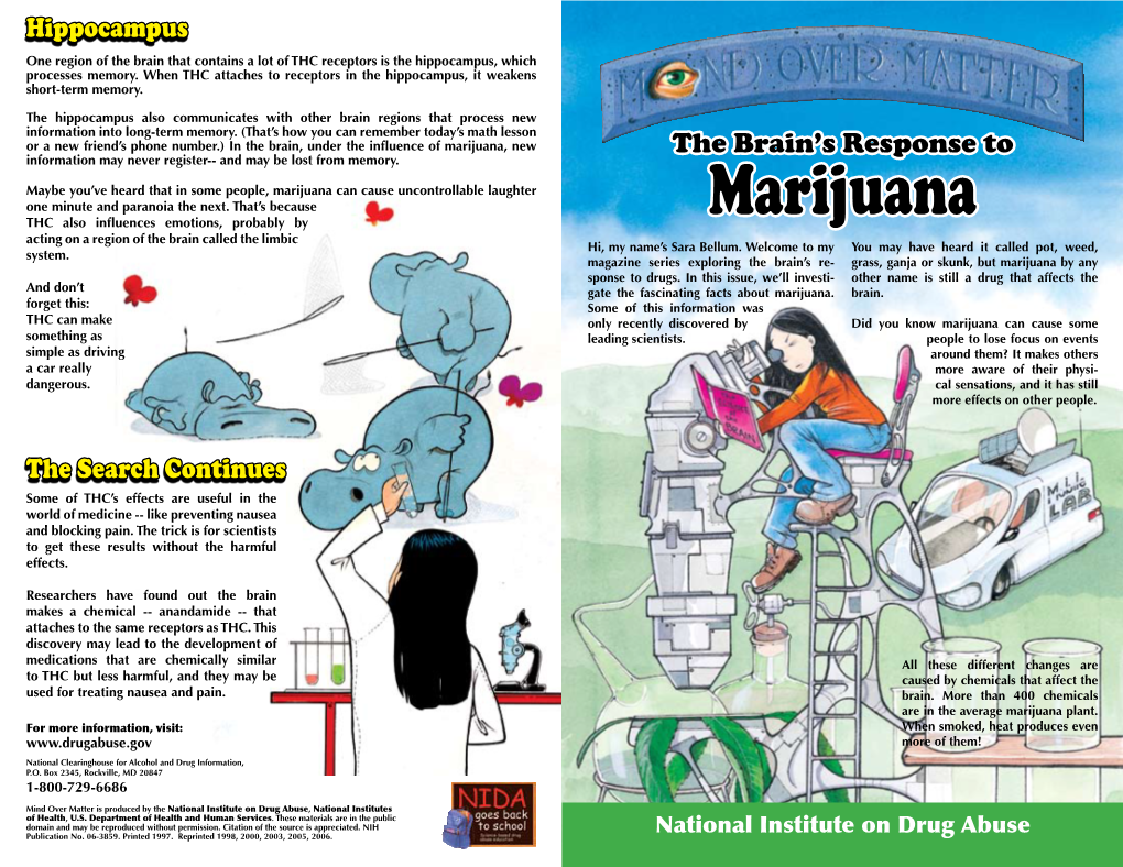 Marijuana: the Brain's Response