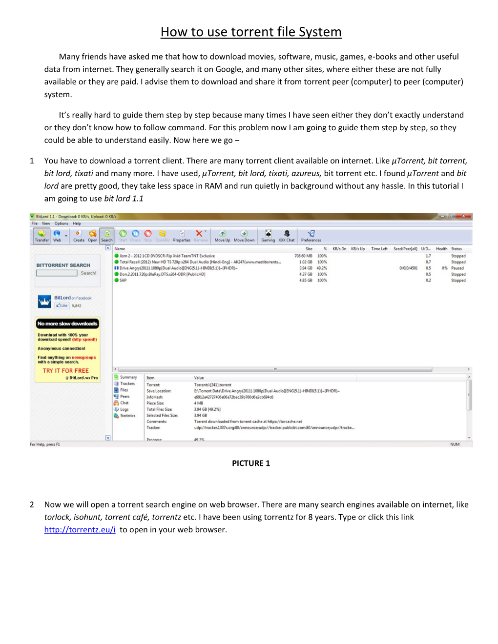 Torrent File System