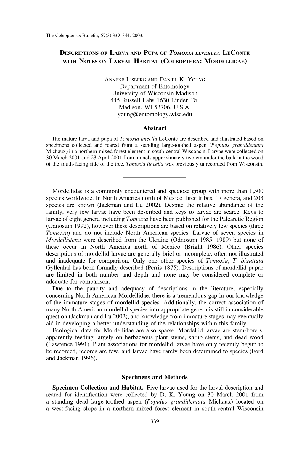 Descriptions of Larva and Pupa of Tomoxia Lineella with Notes On