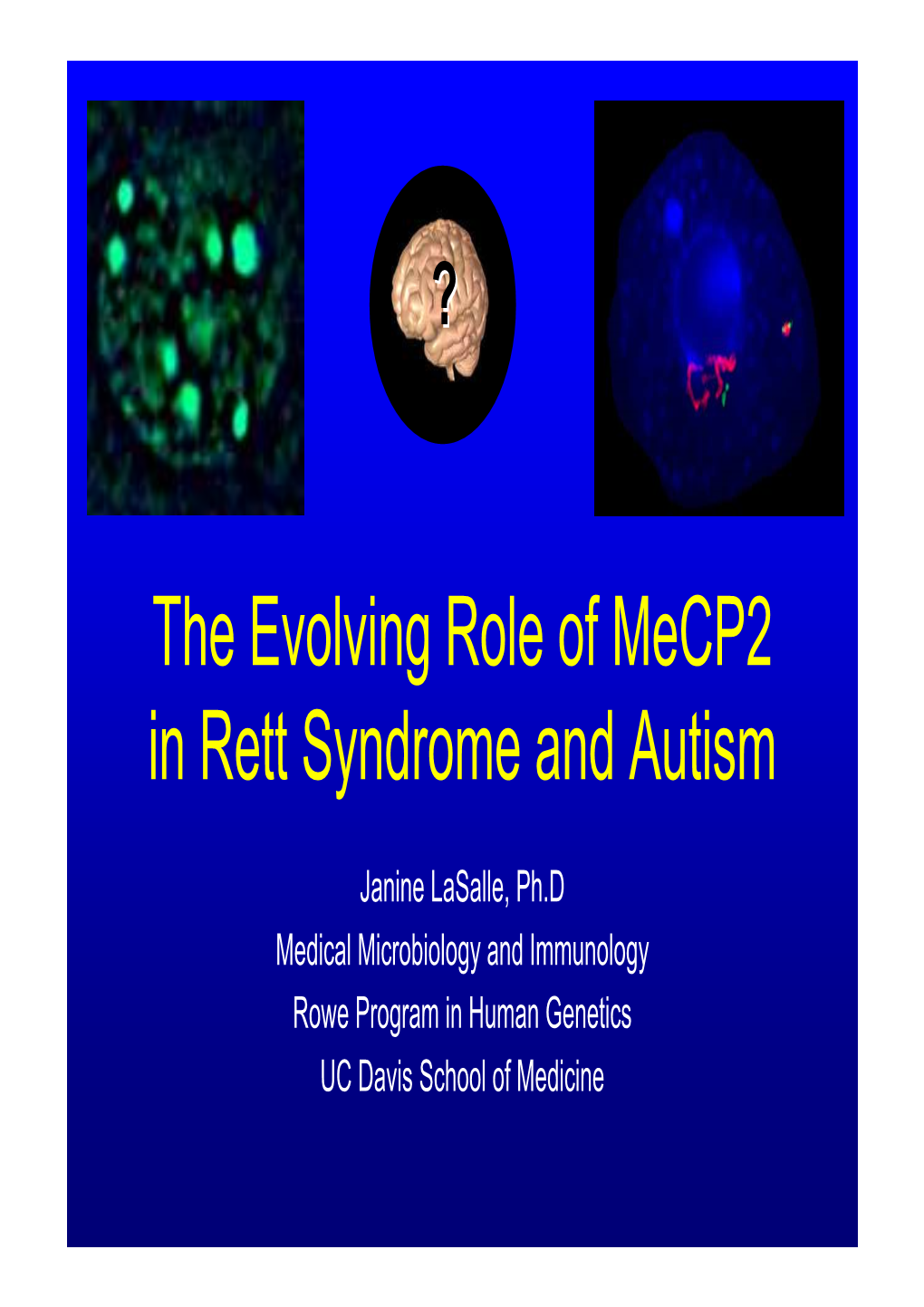 The Evolving Role of Mecp2 in Rett Syndrome and Autism