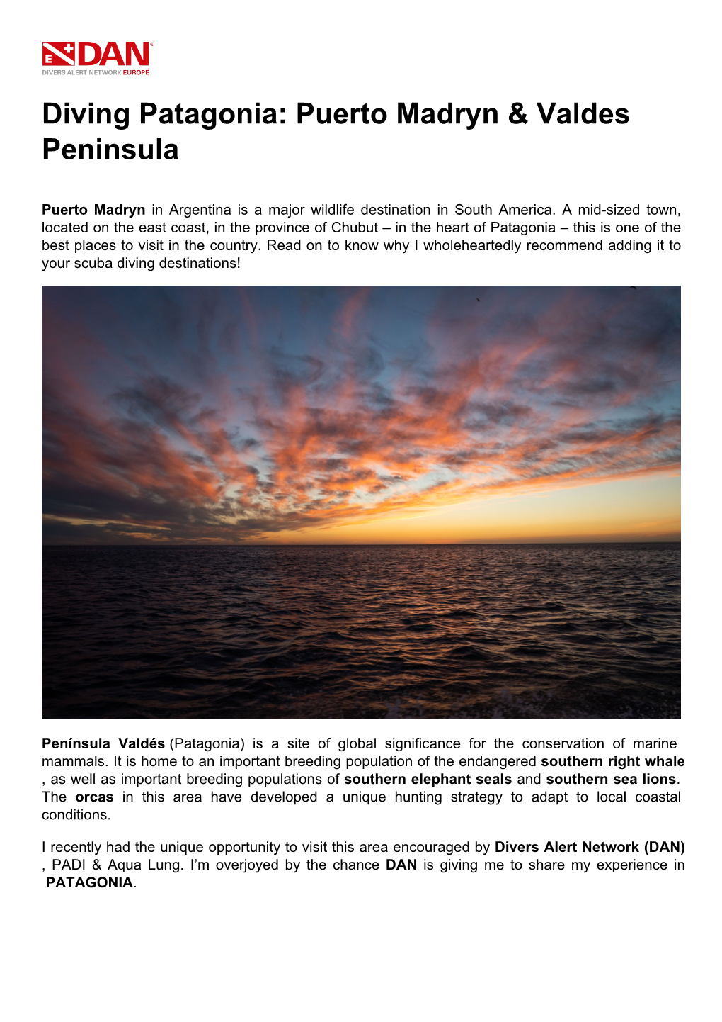 Diving Patagonia: Puerto Madryn & Valdes Peninsula