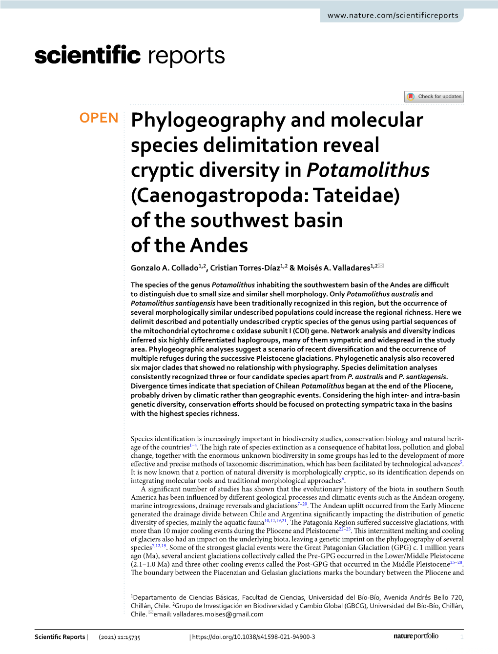 Phylogeography and Molecular Species Delimitation Reveal Cryptic Diversity in Potamolithus (Caenogastropoda: Tateidae) of the Southwest Basin of the Andes Gonzalo A