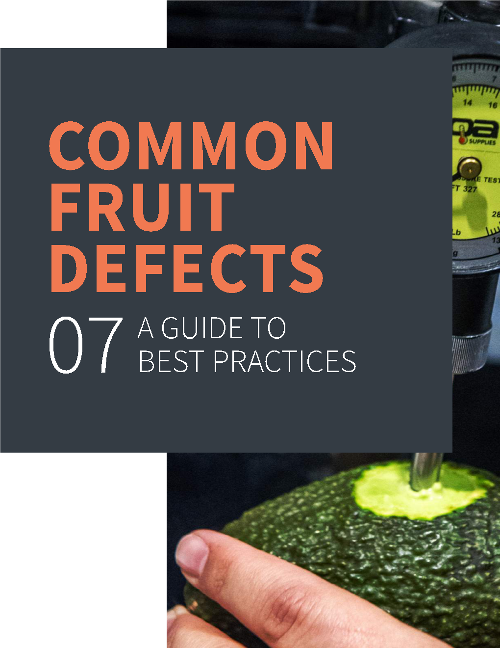 Common Fruit Defects