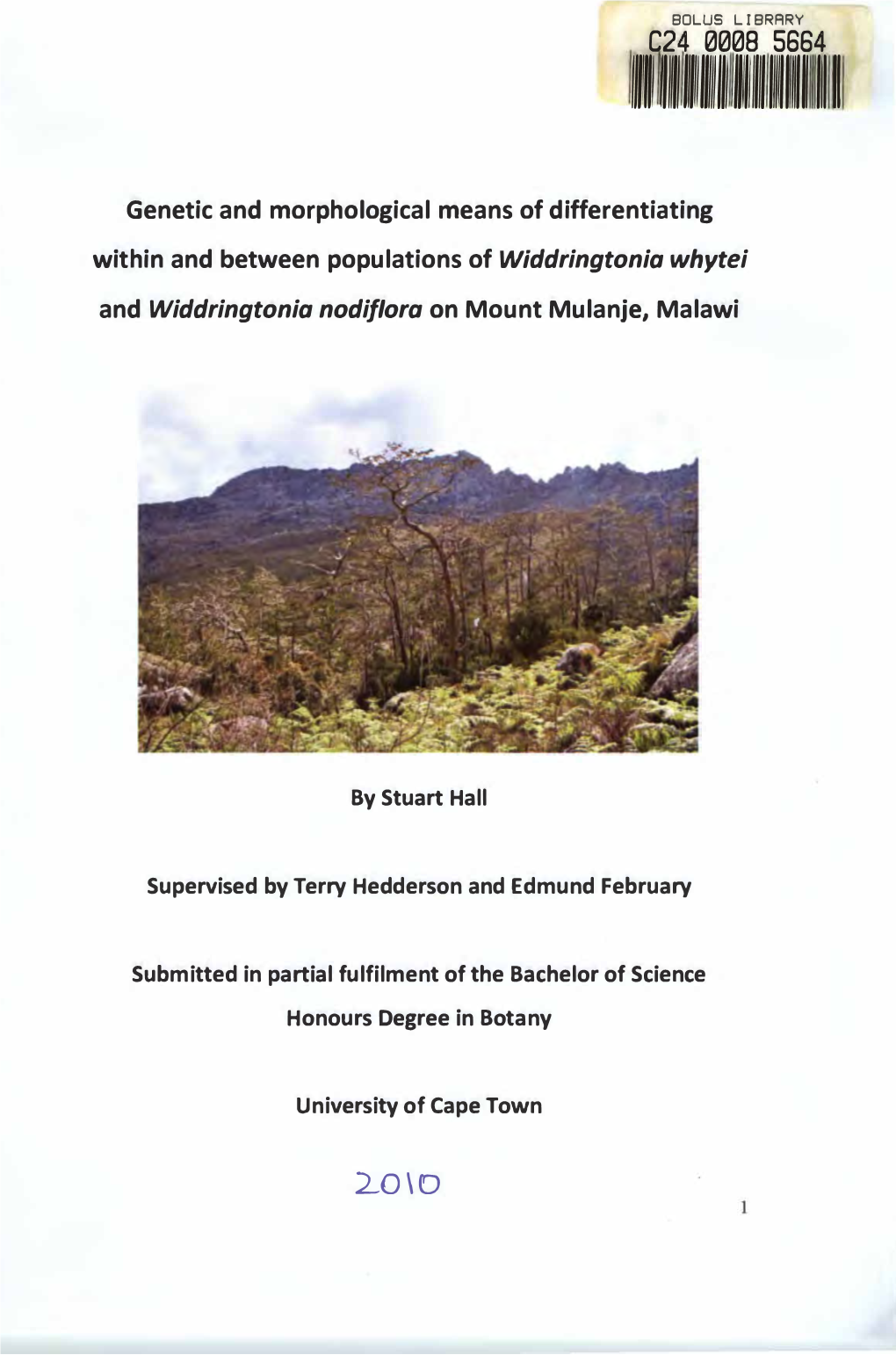 Genetic and Morphological Means of Differentiating Within and Between Populations of Widdringtoniawhytei and Widdringtonia Nodif/Ora on Mount Mulanje, Malawi