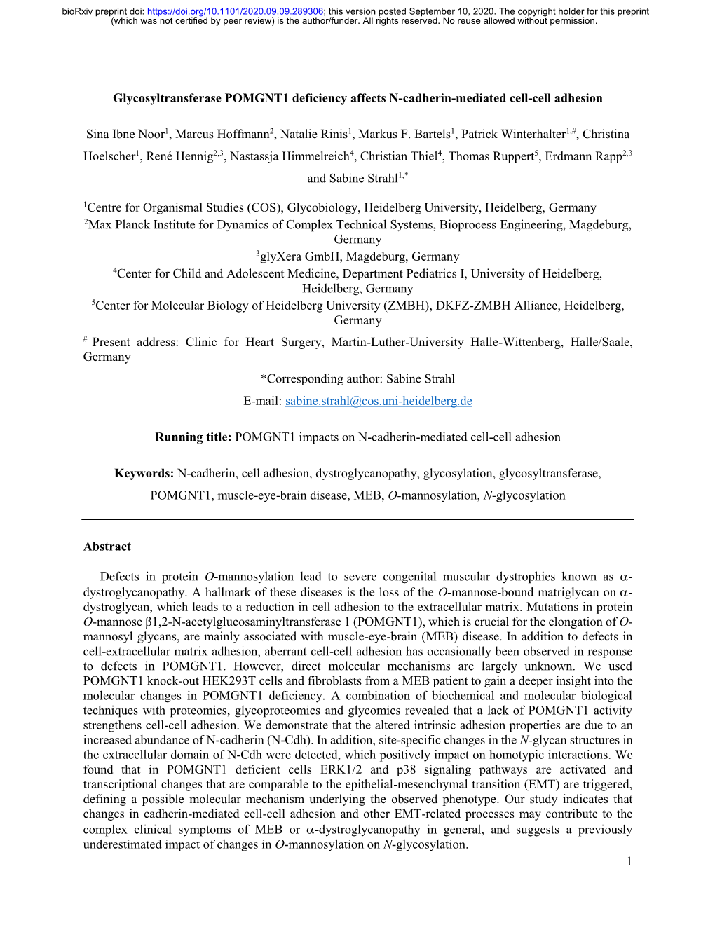 Glycosyltransferase POMGNT1 Deficiency Affects N-Cadherin-Mediated Cell-Cell Adhesion