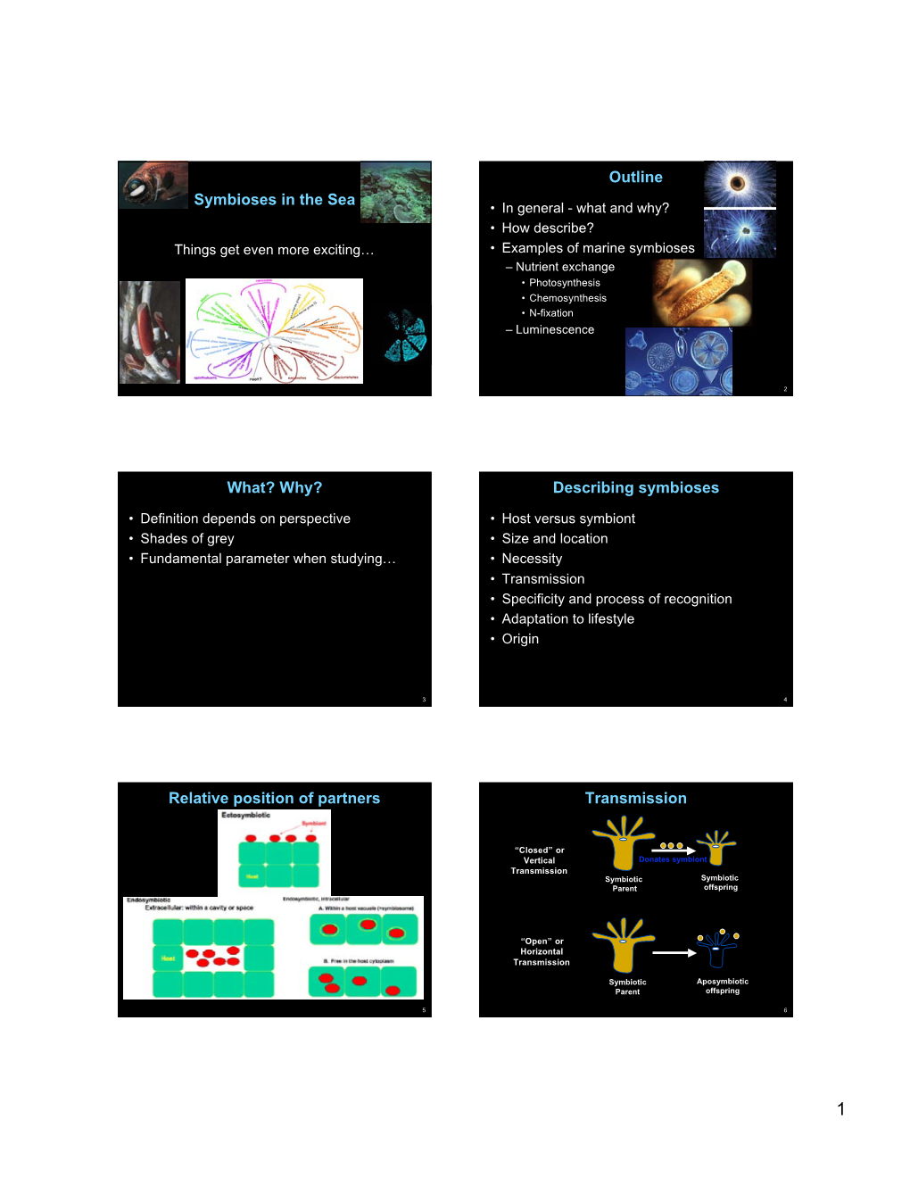 Describing Symbioses Relative Position of Partners Transmission