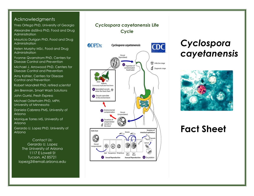 Cyclospora Cayetanensis Fact Sheet
