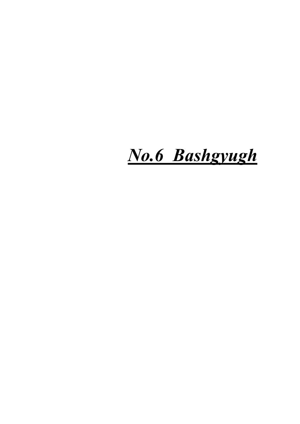 No.6 Bashgyugh Study for Improvement of Information on Existing Water Sources Rural Water Supply and Sewage Systems in RA (Shirak)