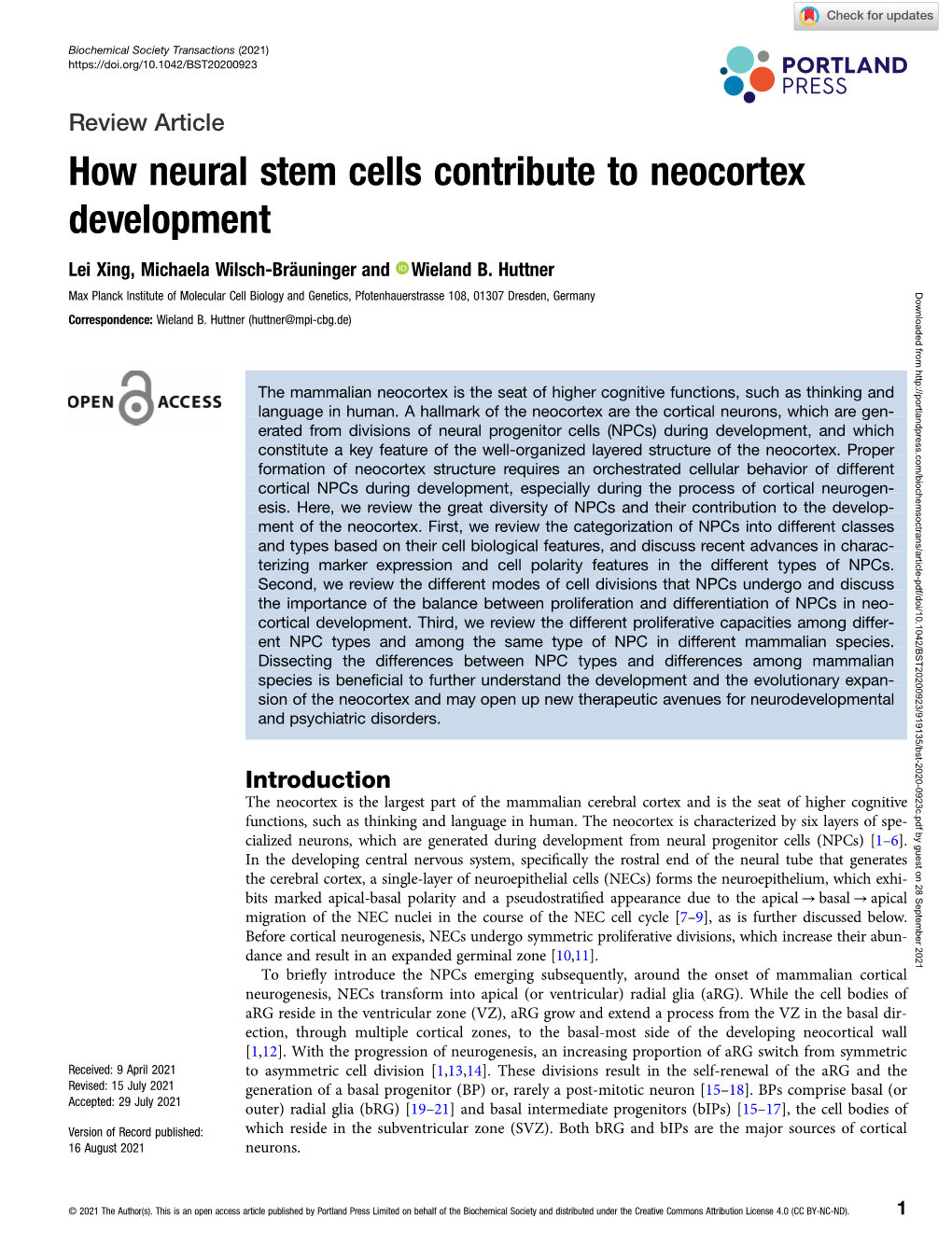 How Neural Stem Cells Contribute to Neocortex Development