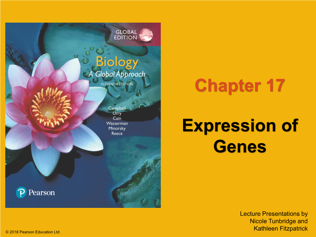 Chapter 17 Expression of Genes