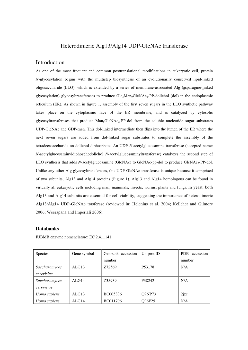 Alg13/Alg14 UDP-Glcnac Transferase