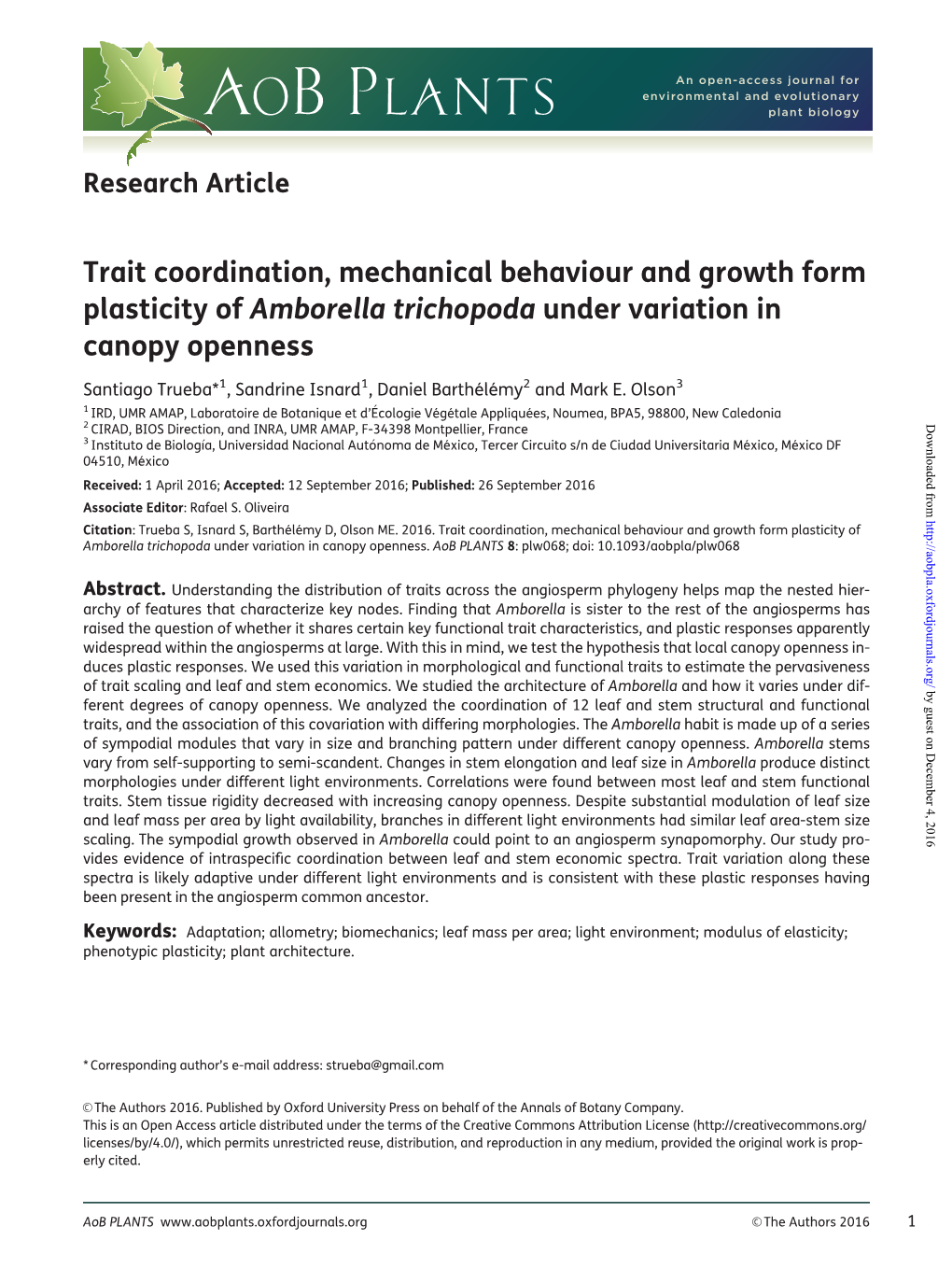 Trait Coordination, Mechanical Behaviour and Growth Form Plasticity of Amborella Trichopoda Under Variation in Canopy Openness