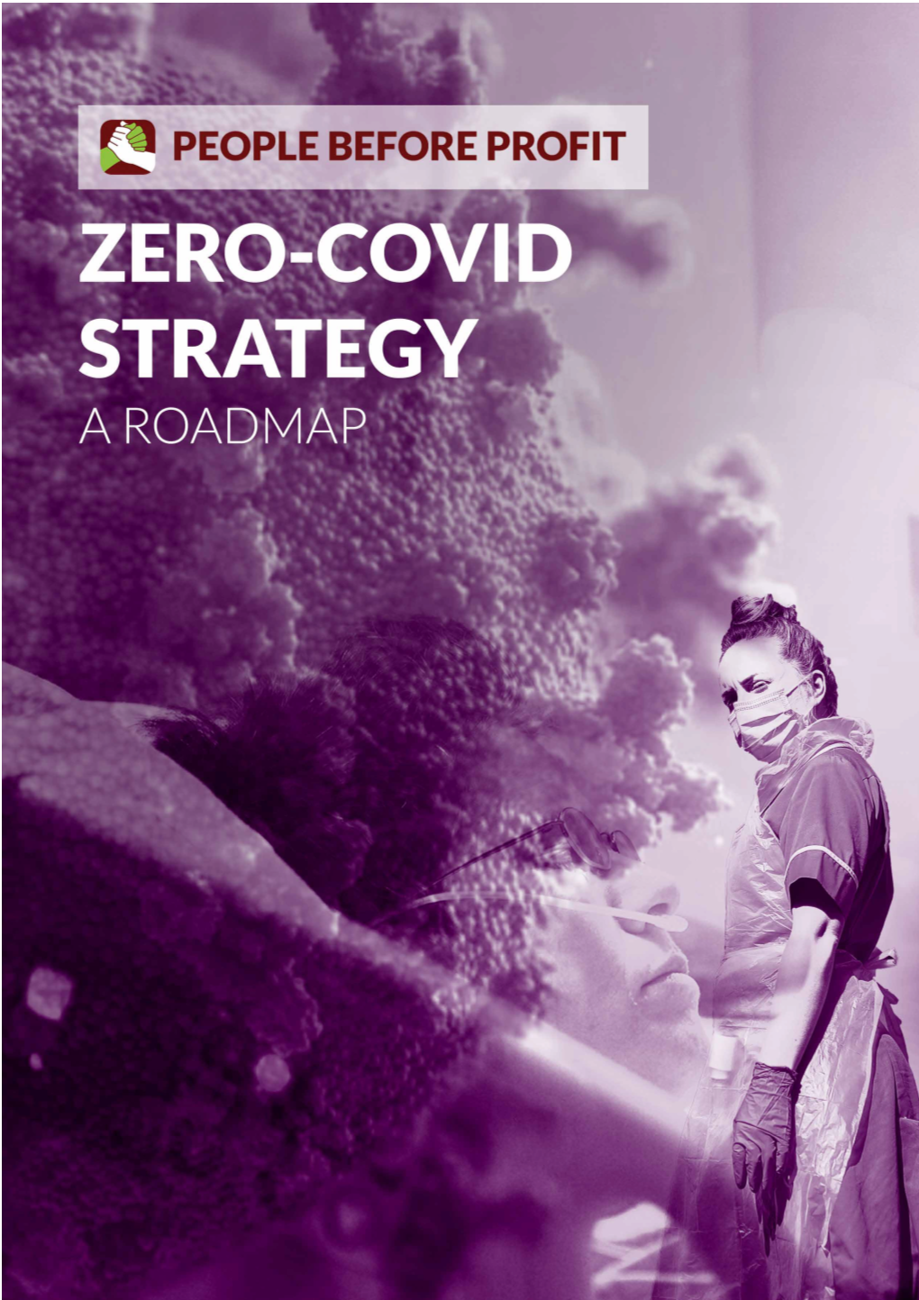 Zero Covid Roadmap January 2021