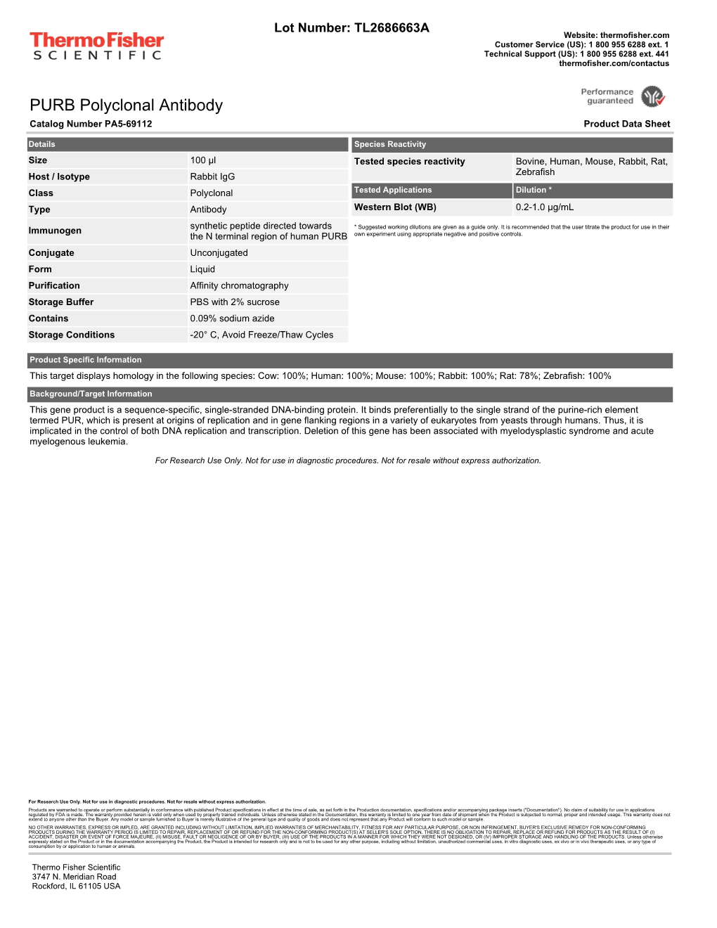 PURB Polyclonal Antibody Catalog Number PA5-69112 Product Data Sheet