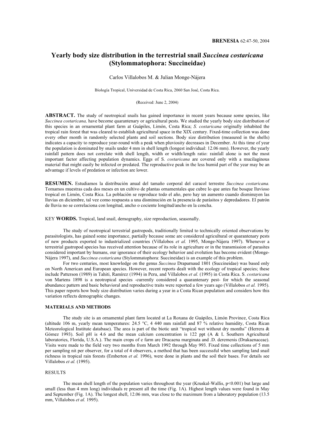 Yearly Body Size Distribution in the Terrestrial Snail Succinea Costaricana (Stylommatophora: Succineidae)