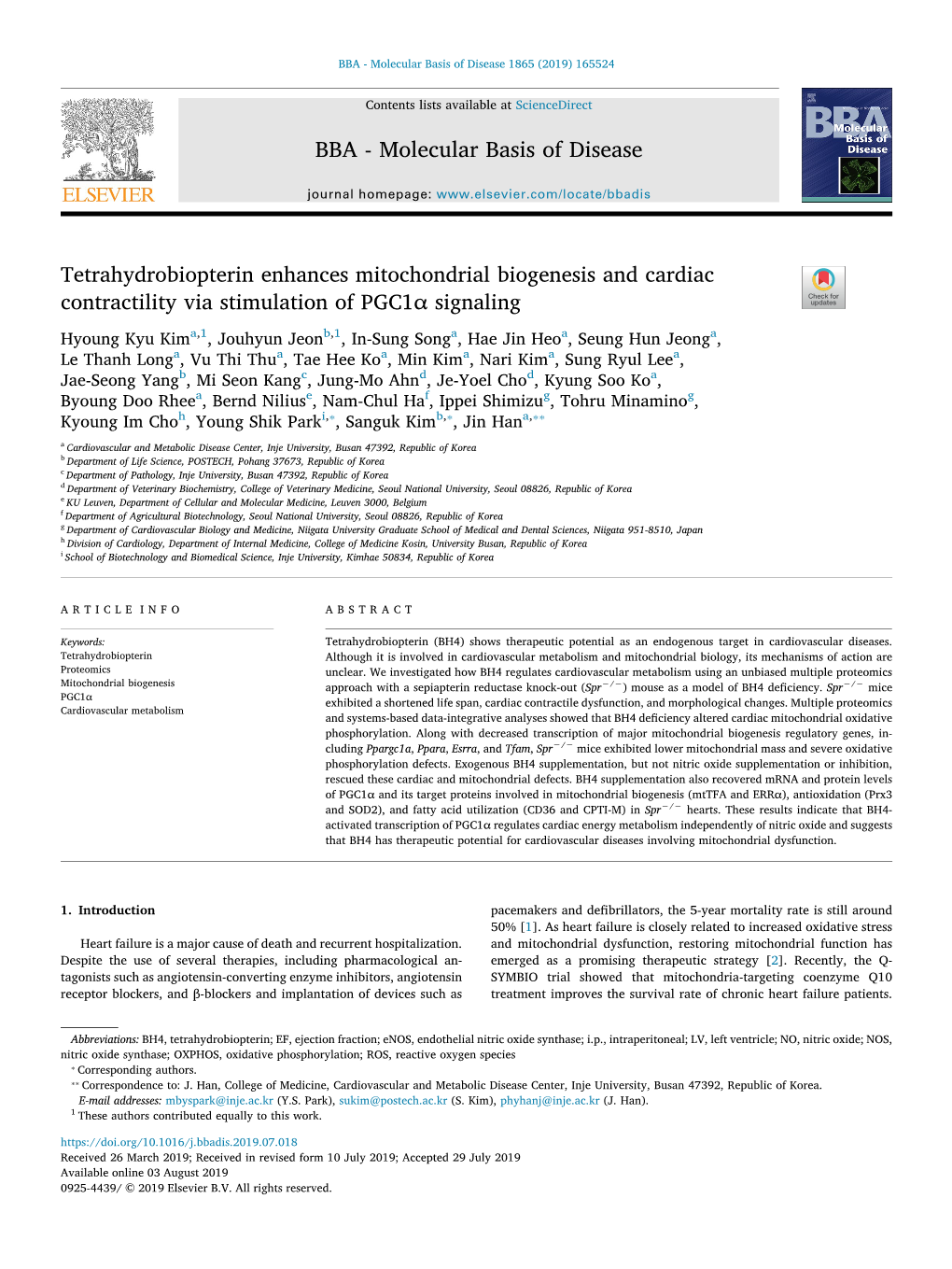 Tetrahydrobiopterin Enhances Mitochondrial Biogenesis And