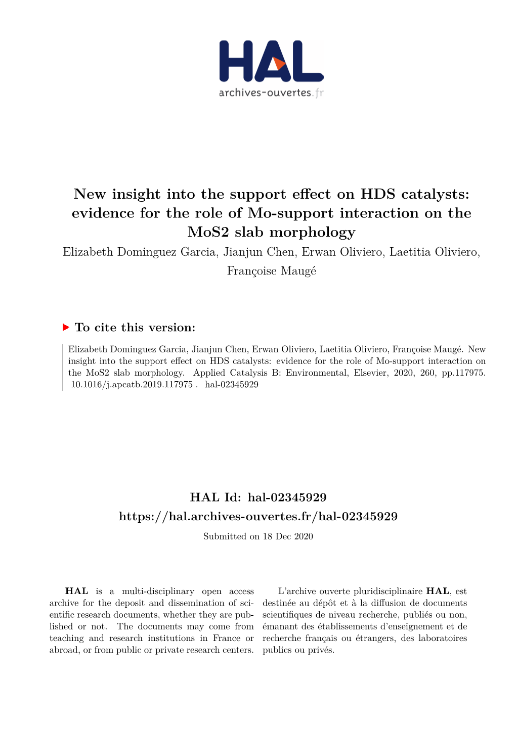 New Insight Into the Support Effect on HDS Catalysts