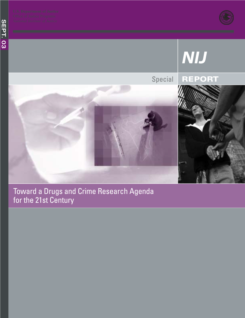 Toward a Drugs and Crime Research Agenda for the 21St Century U.S