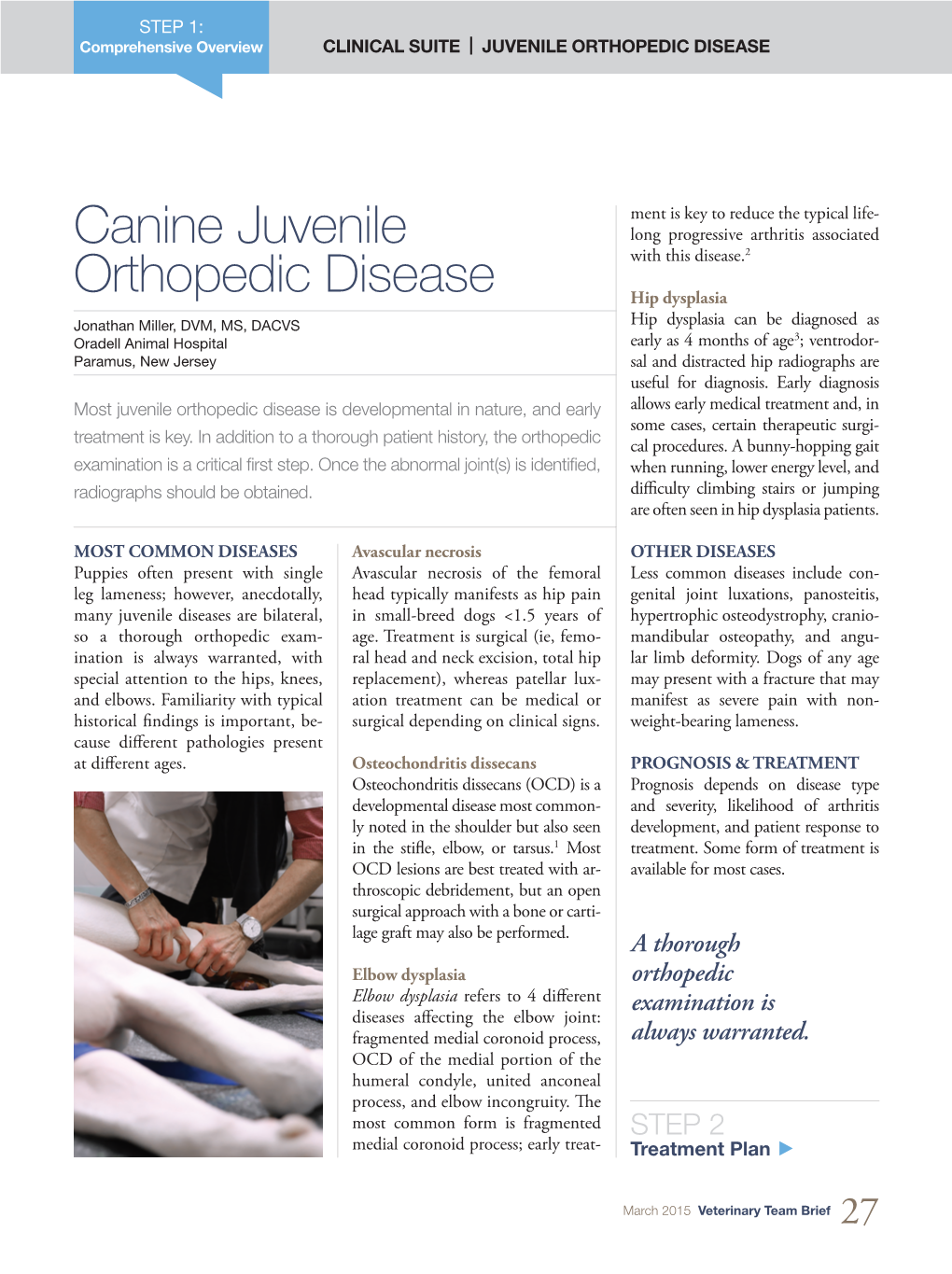 Canine Juvenile Orthopedic Disease