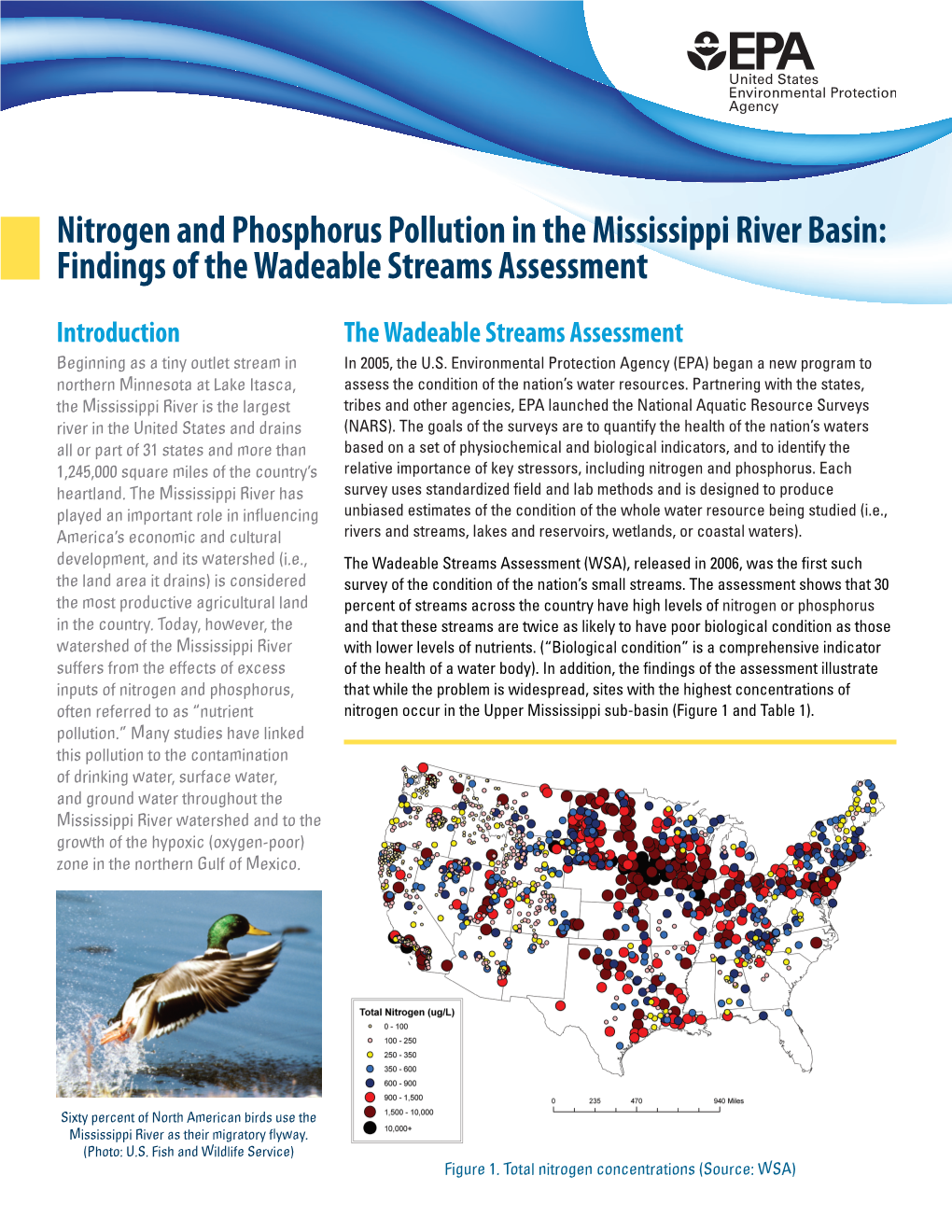 Nitrogen and Phosphorus Pollution in the Mississippi River Basin: Findings of the Wadeable Streams Assessment