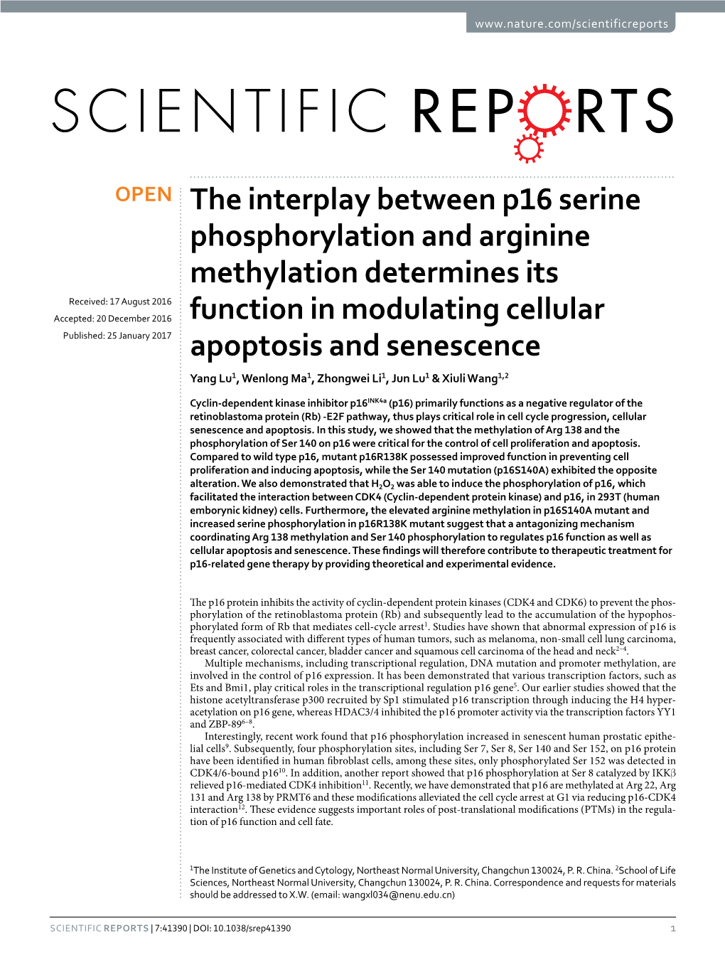 The Interplay Between P16 Serine Phosphorylation and Arginine