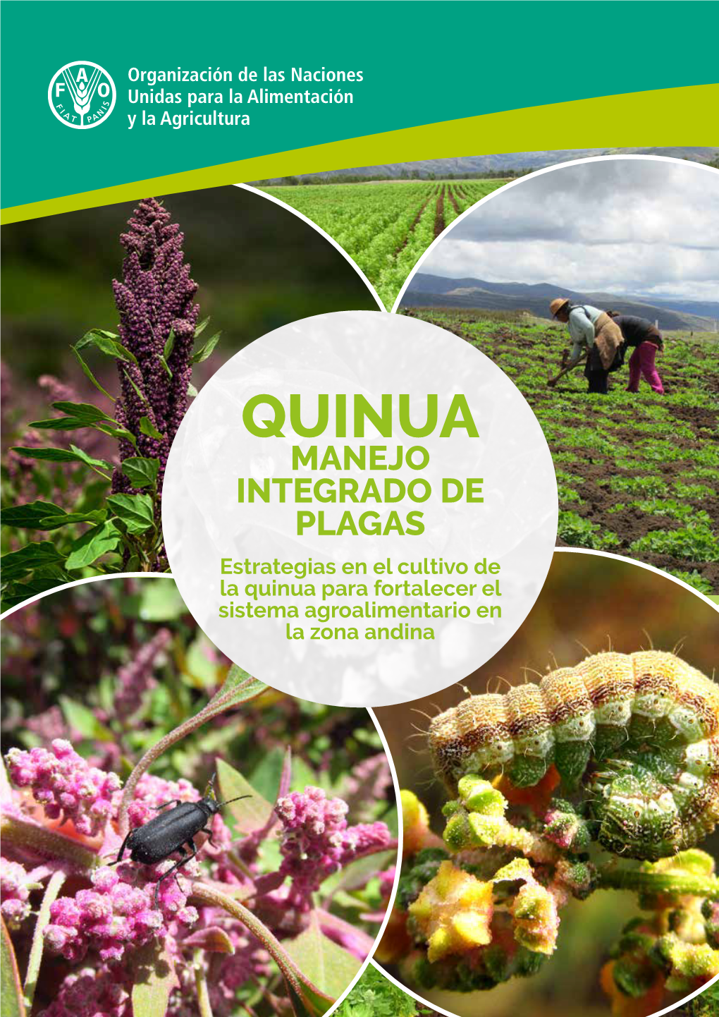 Quinua: Manejo Integrado De Plagas