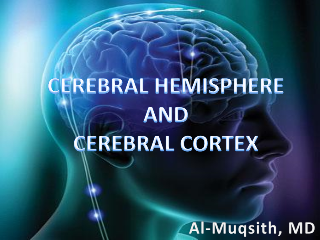 Cerebral Hemisphere