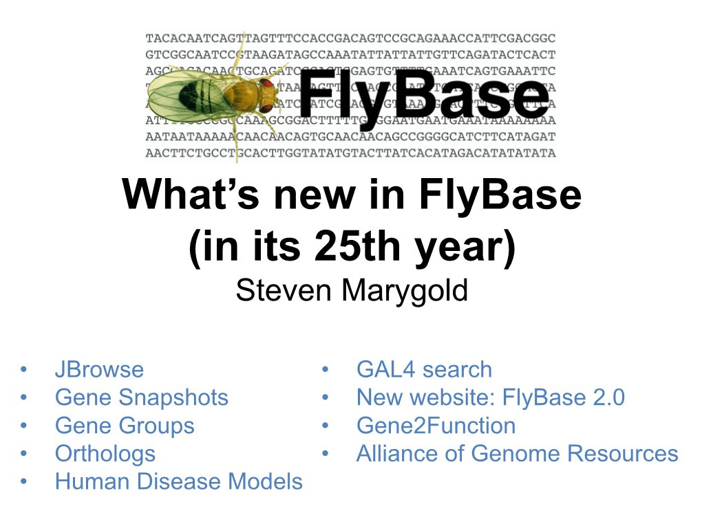 What's New in Flybase